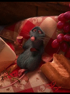 Odpoczywający szczur